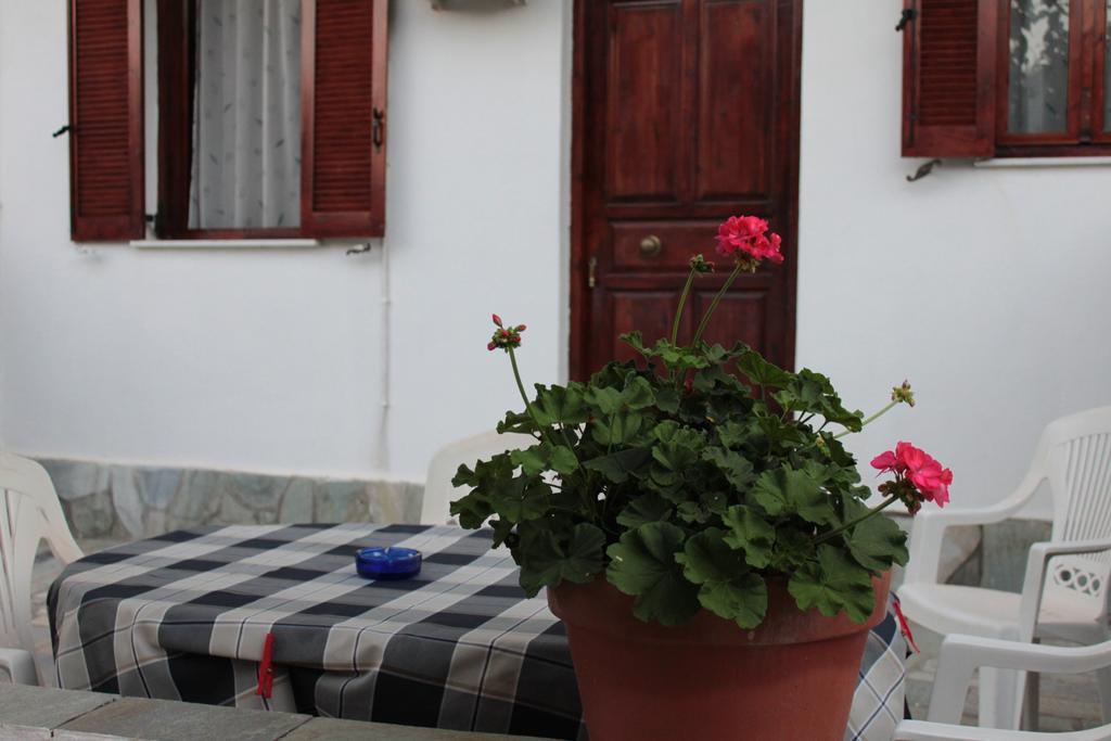 Ballas Apartments Agia Efimia Rum bild
