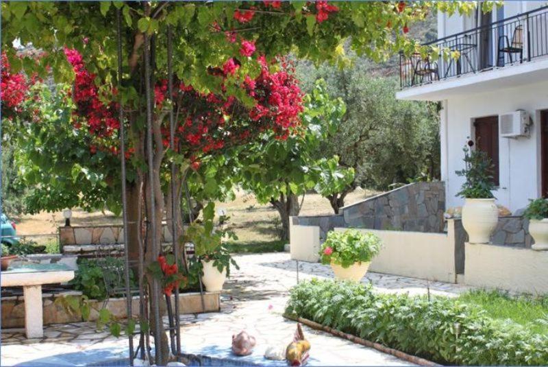 Ballas Apartments Agia Efimia Exteriör bild